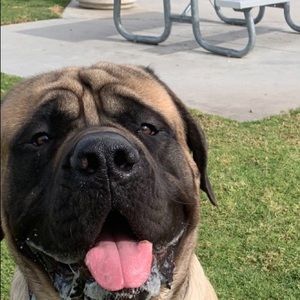 Meet your Posher, Amy